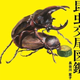 Illustration for article titled Bug Sex Book Sparks Surprising Controversy